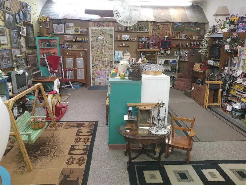 Bargain Bin in Gainesville, MO