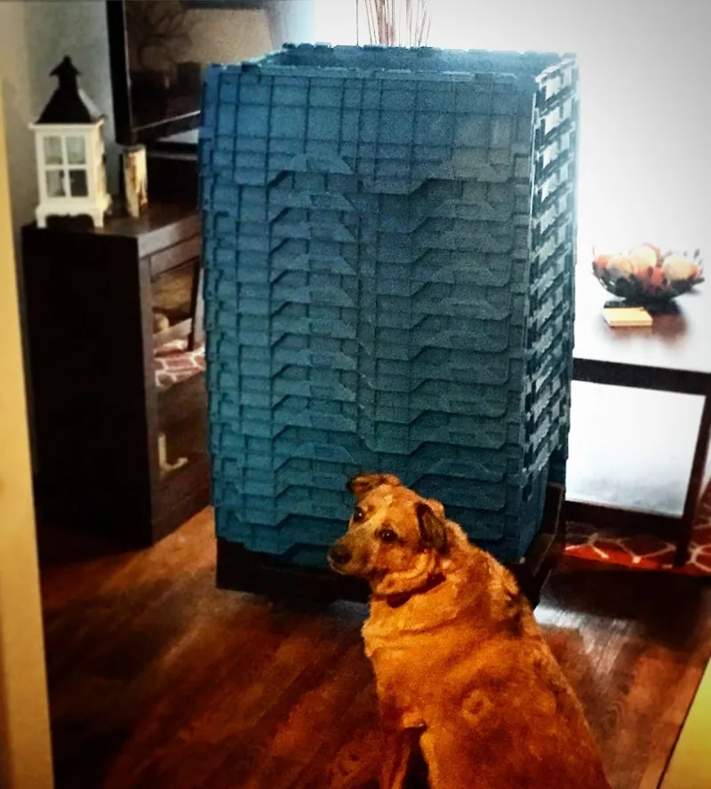 Bin-It in Nashville, TN