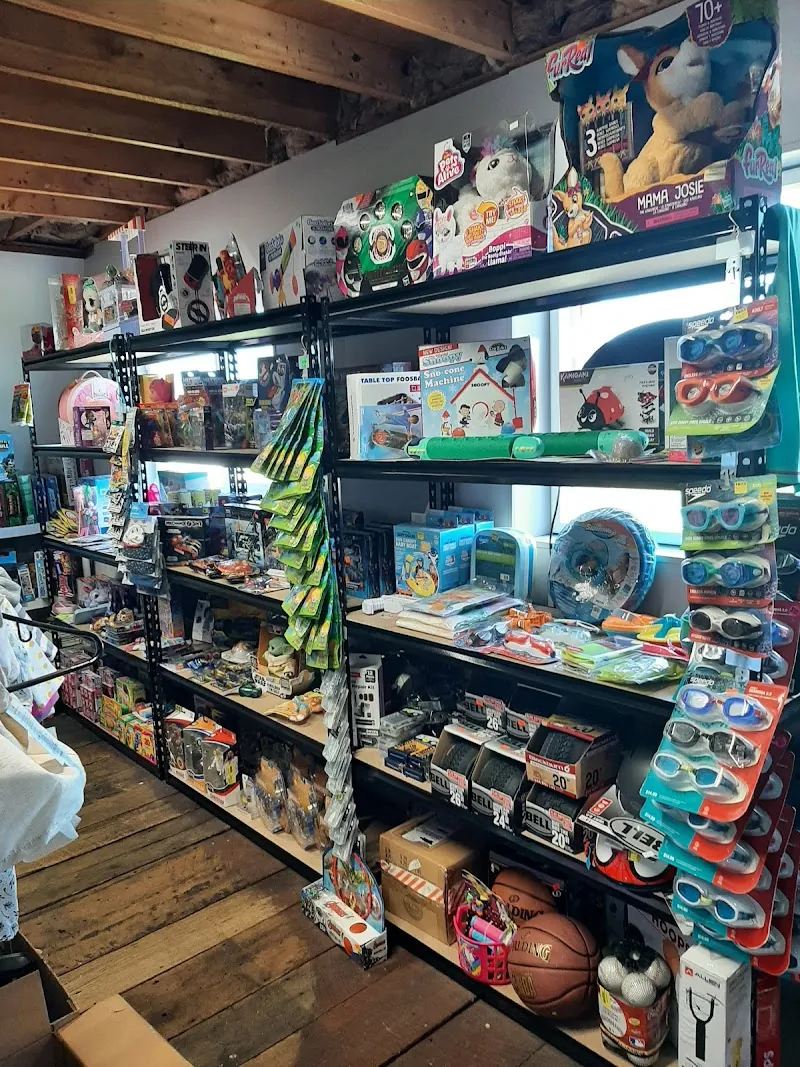 Chipps Bargain Barn in Bruceton Mills, WV
