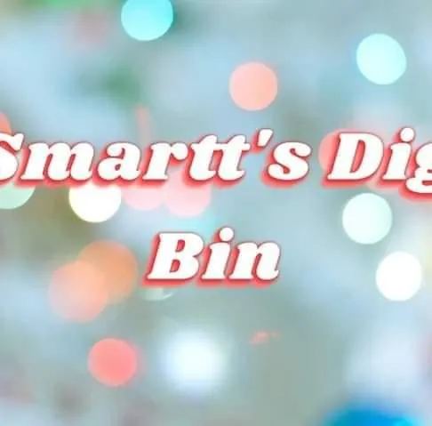 Smartt's Dig Bin in McMinnville, TN