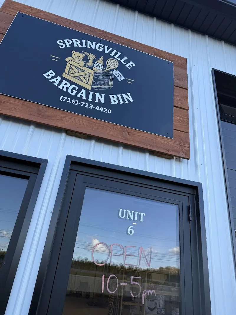 Springville Bargain Bin in Springville, NY