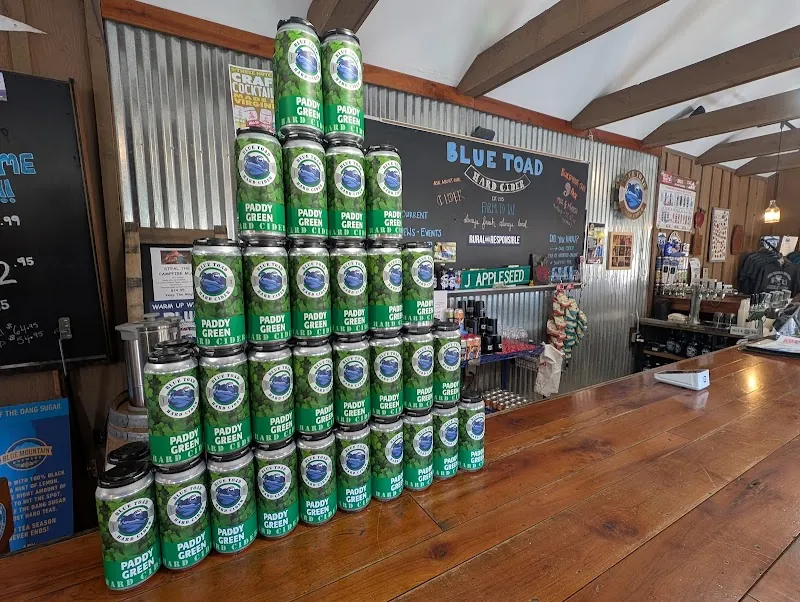 Blue Toad Hard Cider in Roseland, VA