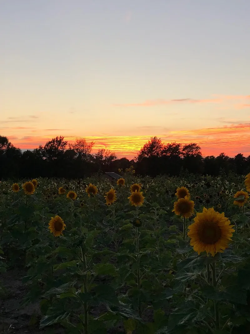 Lakeland Orchard & Cidery in Scott, PA