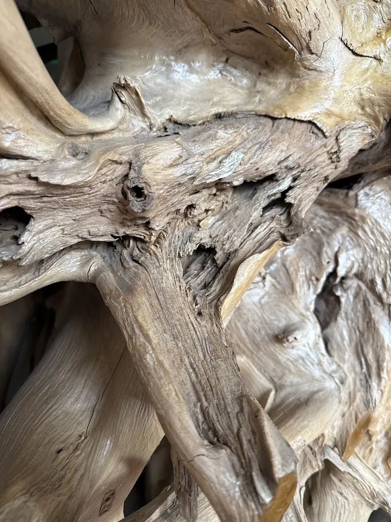 Boro Health & Wellness Spa …BHWS in Murfreesboro, TN