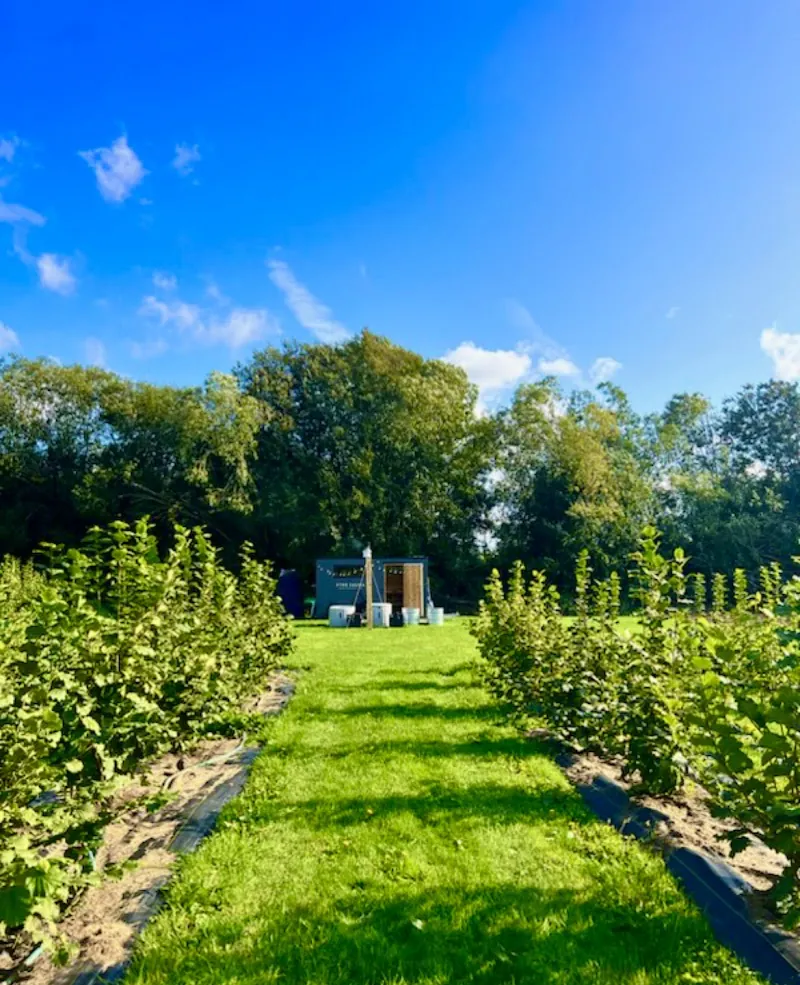 Fyre Sauna in Redmond, WA