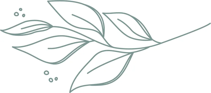 Recovery Oasis in St. Petersburg, FL