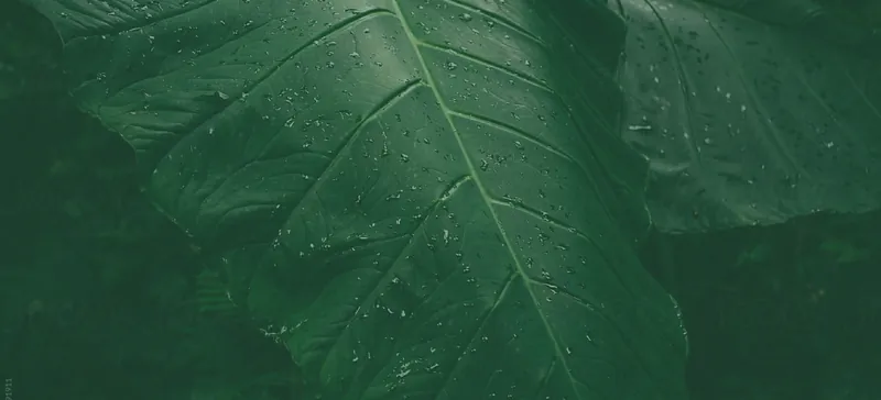 Spyre Center in New Orleans, LA