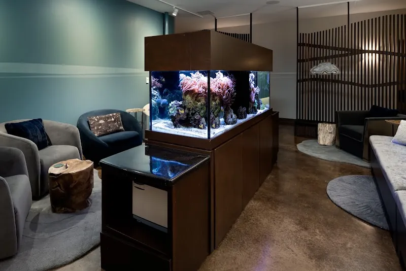 Still Point Wellness Float and Massage Spa in Asheville, NC