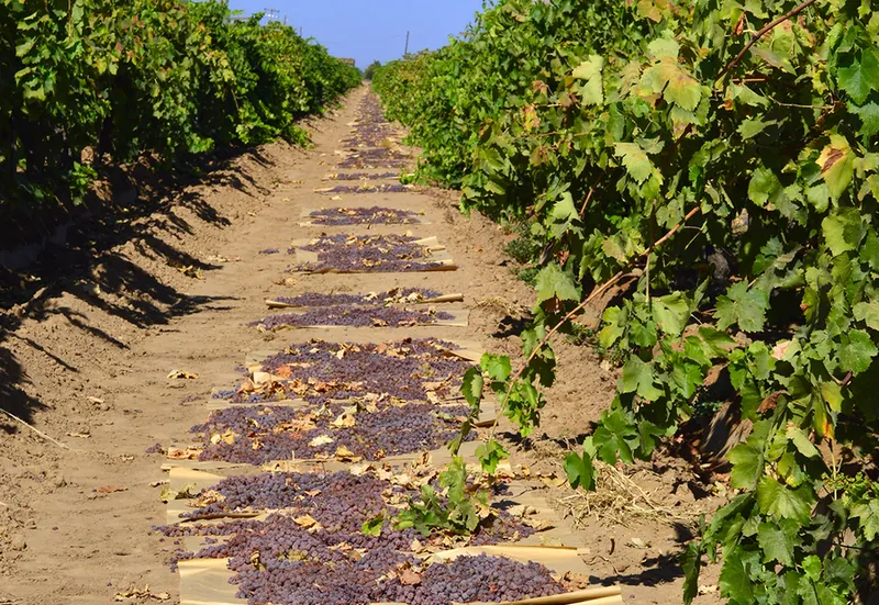 Old Spirit Distillery Inc in Oceanside, NY