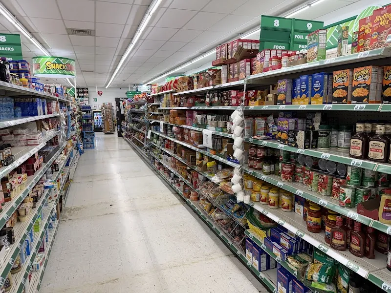 Dollar Tree in Tuscaloosa, AL