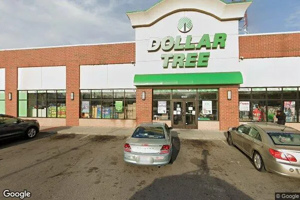 Dollar Tree in Detroit, MI
