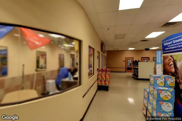 Dollar Tree in Greenville, SC