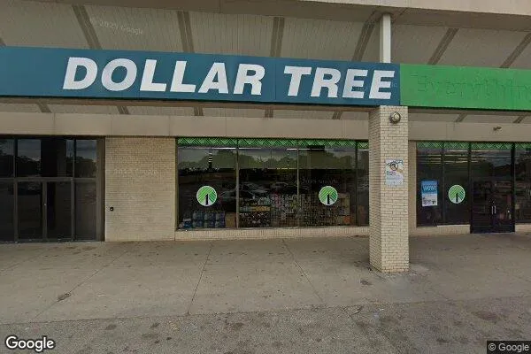Dollar Tree in Flint, MI