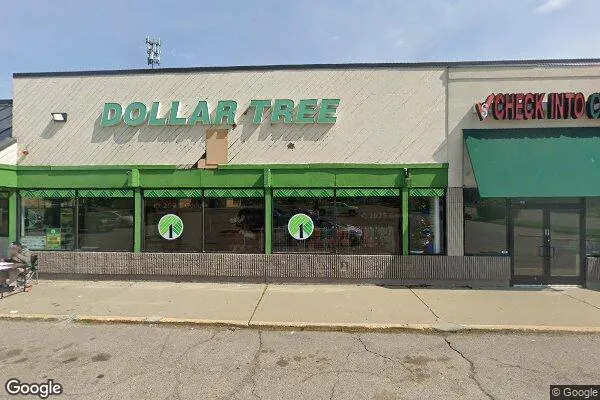 Dollar Tree in Flint, MI