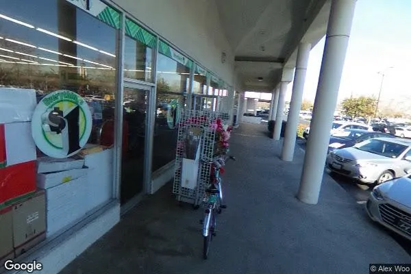 Dollar Tree in Campbell, CA
