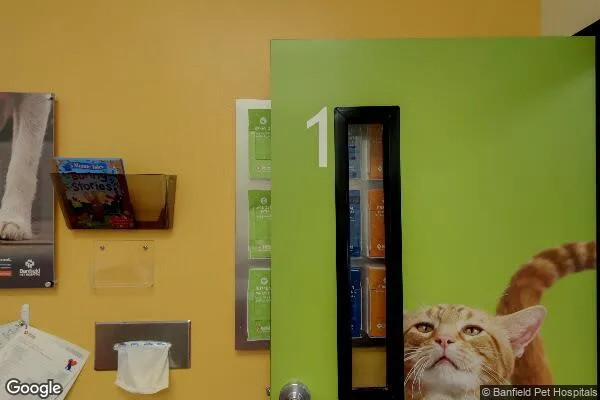 Dollar Tree in Traverse City, MI