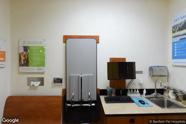 Dollar Tree in Dallas, TX