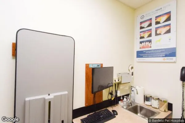 Dollar Tree in Charlotte, NC