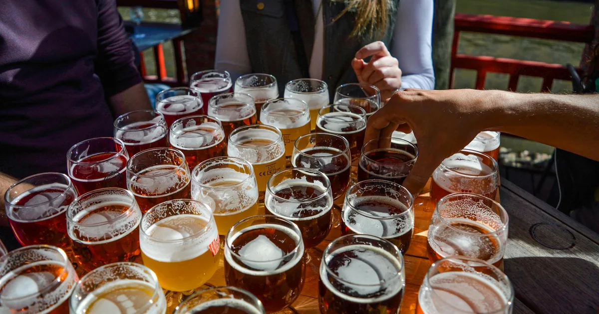 Customers enjoying a mead tasting experience at Meadery Pal.