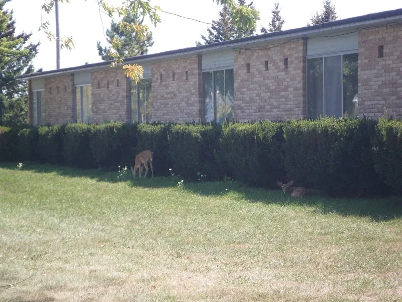 Rushford Meadery and Winery in Omro, WI