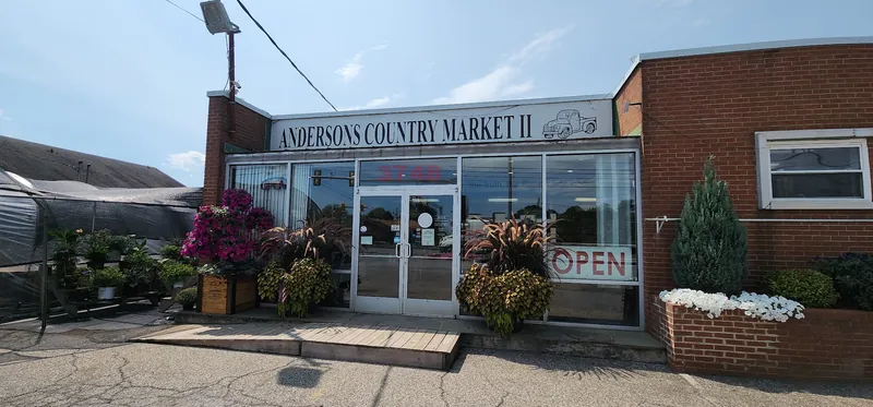 Anderson's Country Market II - Grocery store in Madison Heights, Virginia