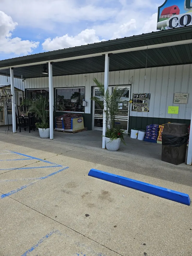 Greenfield Country Store - General store in Wayne City, Illinois