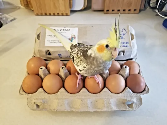 Organic Food Depot - Natural goods store in Norfolk, Virginia