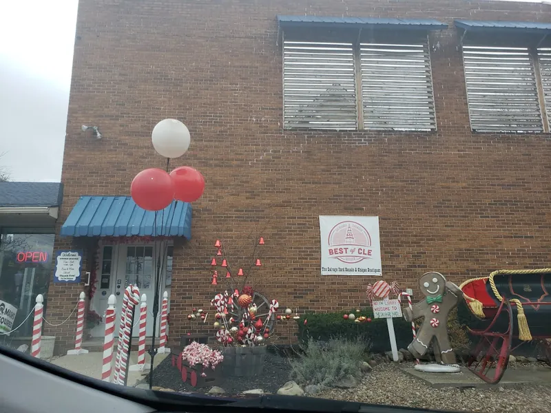 The Salvage Yard Resale Shoppe - Thrift store in Fairview Park, Ohio