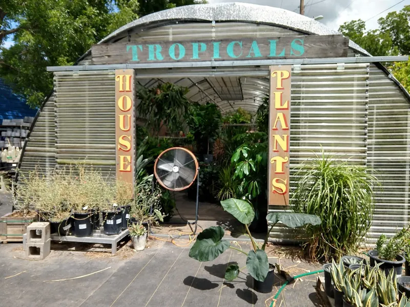 Tillery Street Plant Co. - Garden center in Austin, Texas