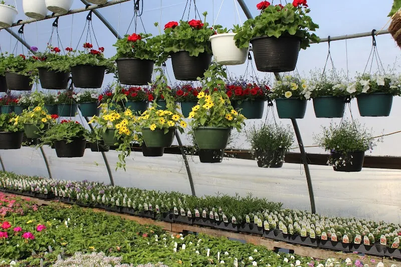 ClearView Surplus Store