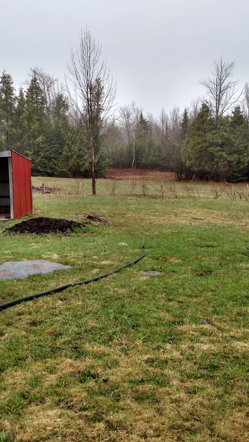 St Augustine's Thrift Shop in Dover-Foxcroft, ME