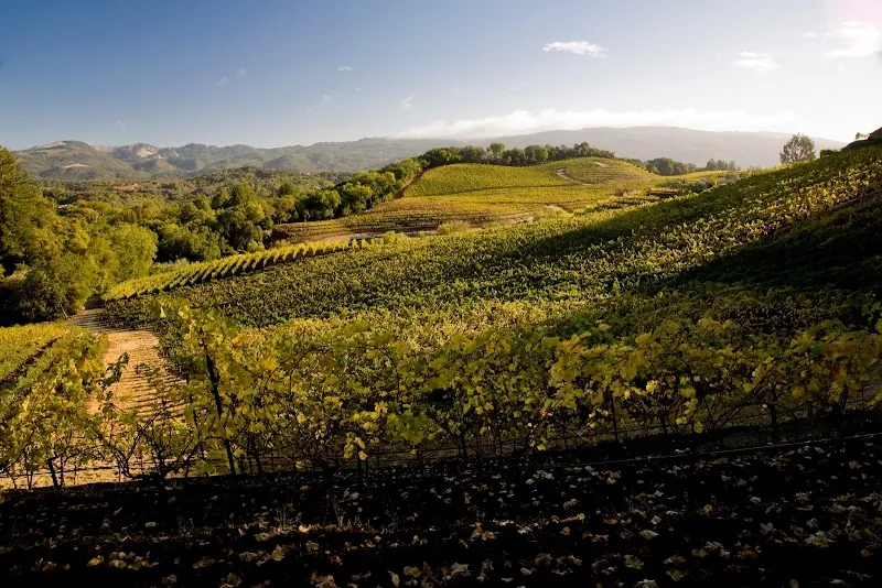 Benziger Family Winery in Glen Ellen, CA