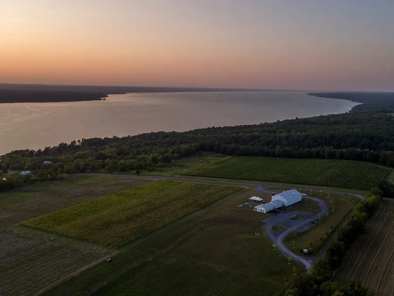 Boundary Breaks Vineyard in Lodi, NY