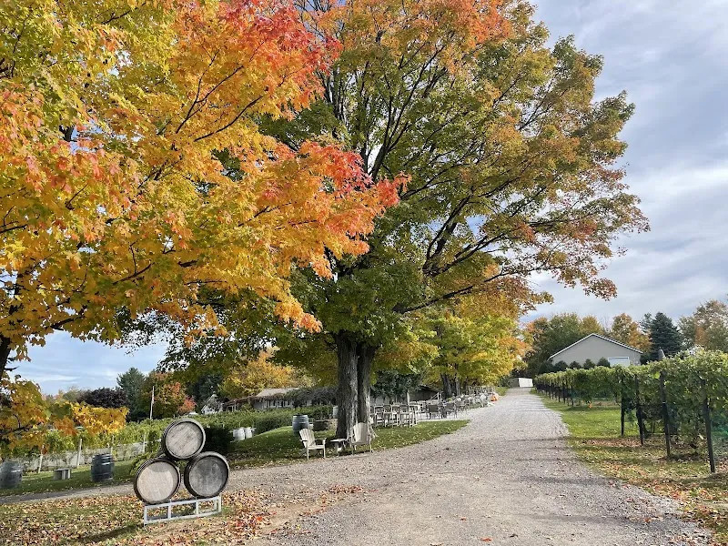 Bowers Harbor Vineyards in Traverse City, MI