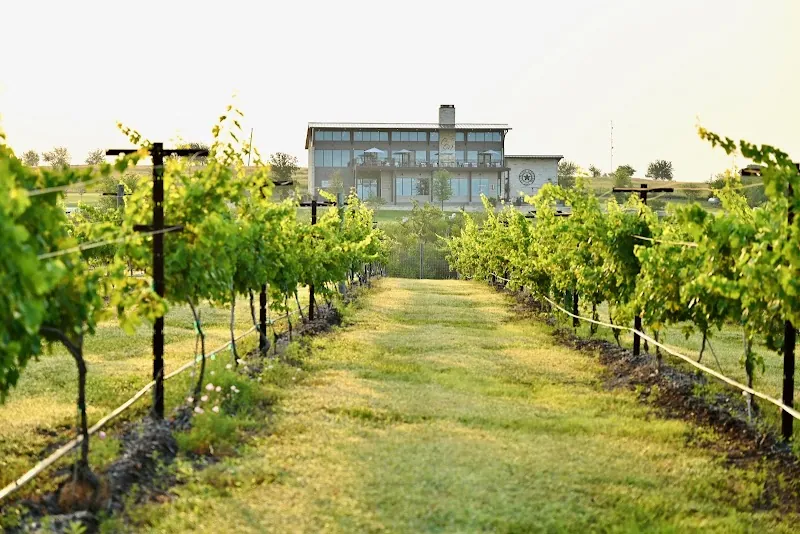 Chapelton Vineyards in Washington, TX