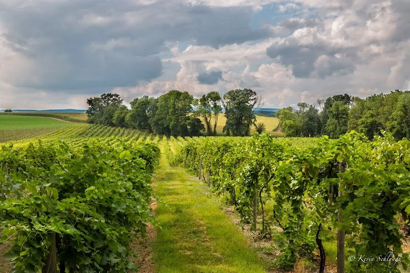 Franklin Hill Vineyards in Bangor, PA