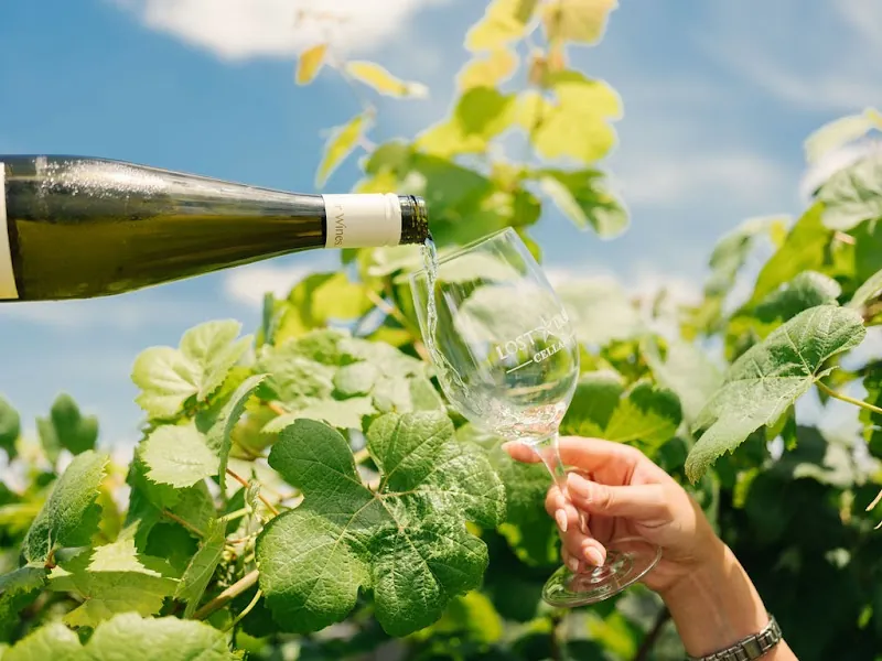 Lost Draw in Johnson City, TX