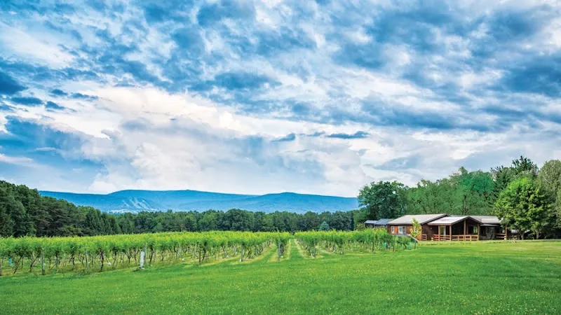 Mount Nittany Vineyard and Winery in Centre Hall, PA