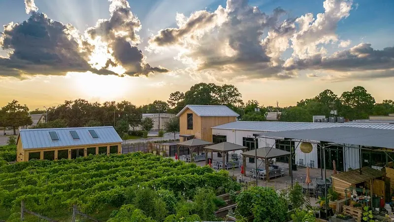 Nice Winery in Houston, TX