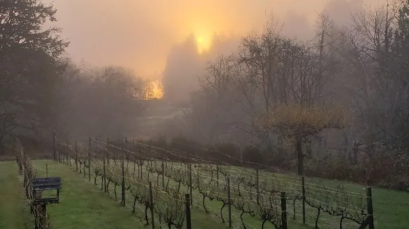 Olalla Vineyard & Winery in Olalla, WA